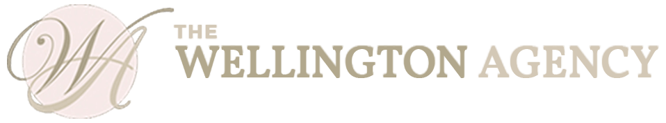 Job agency wellington new zealand